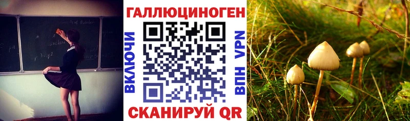 купить наркотики цена  Анива  Галлюциногенные грибы прущие грибы 